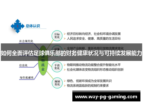 如何全面评估足球俱乐部的财务健康状况与可持续发展能力