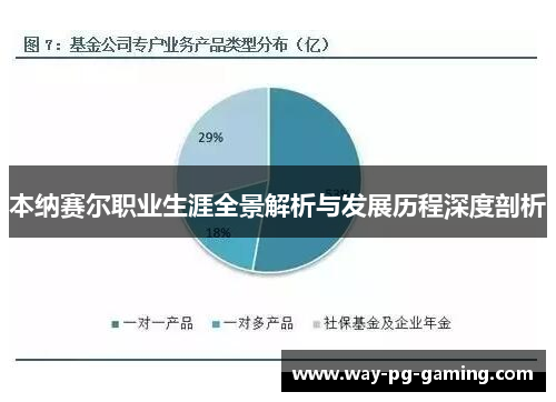 本纳赛尔职业生涯全景解析与发展历程深度剖析