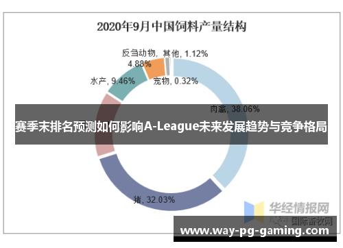 赛季末排名预测如何影响A-League未来发展趋势与竞争格局