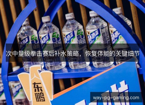 次中量级拳击赛后补水策略，恢复体能的关键细节